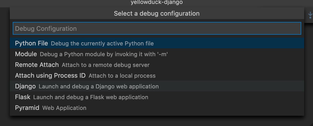 Visual Studio Select Debug Configuration